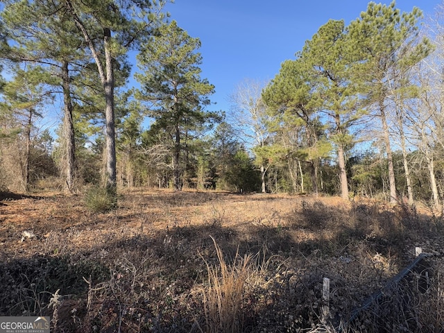 view of local wilderness