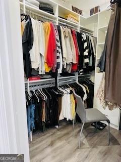 spacious closet with hardwood / wood-style floors