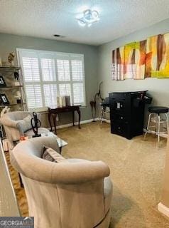 carpeted living room with plenty of natural light