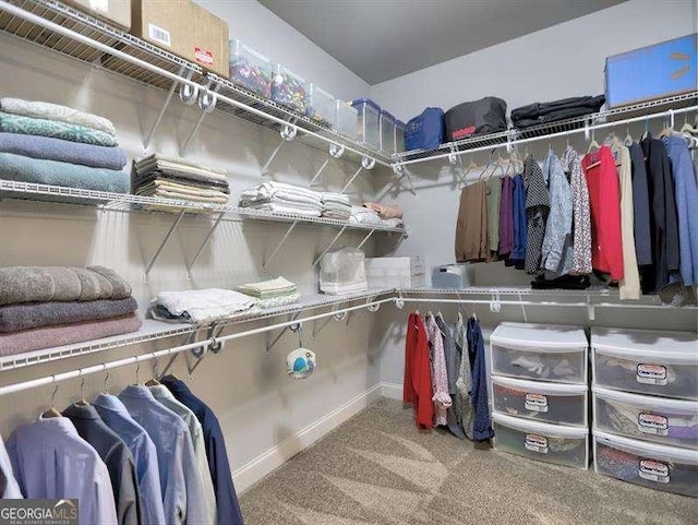 walk in closet with carpet floors