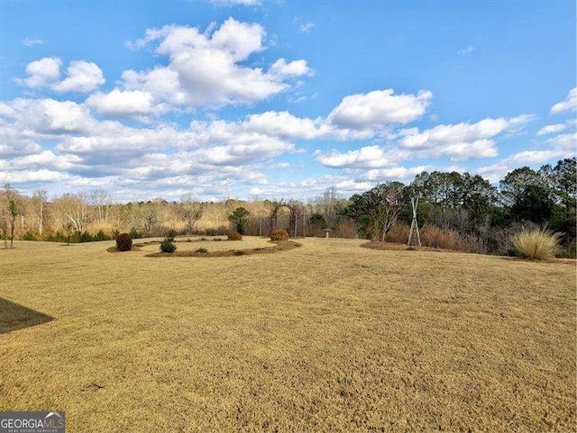 view of yard with a rural view