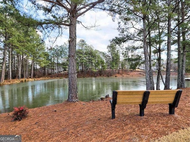 view of water feature