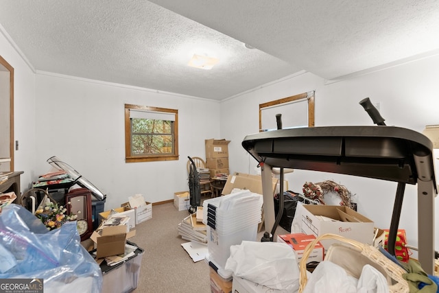 bedroom featuring carpet flooring and a textured ceiling