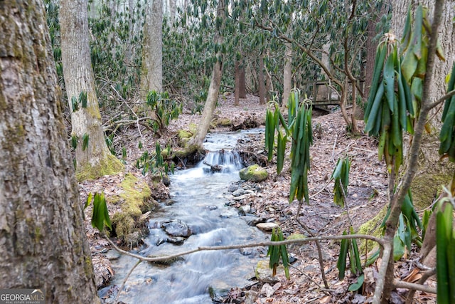 189 Wild Azalea Dr, Dillard, GA 30537 - view of landscape