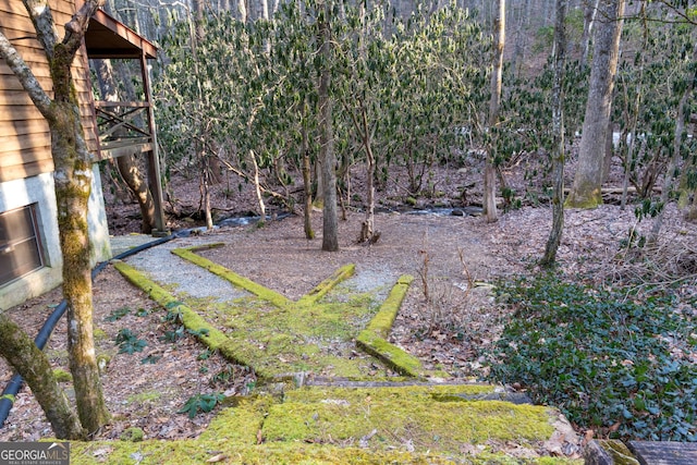 189 Wild Azalea Dr, Dillard, GA 30537 - view of yard