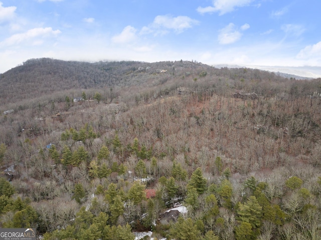 property view of mountains