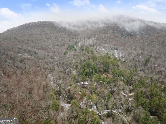 view of mountain feature