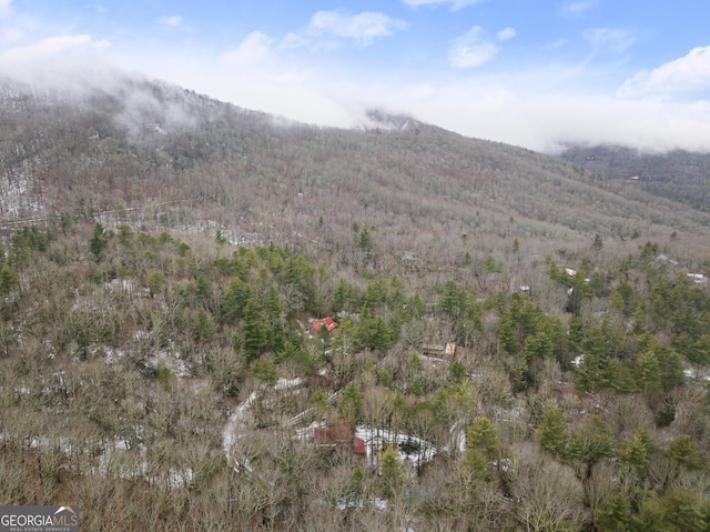 birds eye view of property with a mountain view