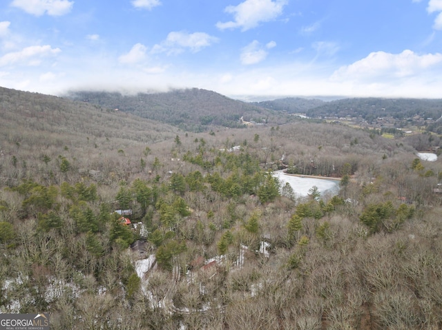 property view of mountains