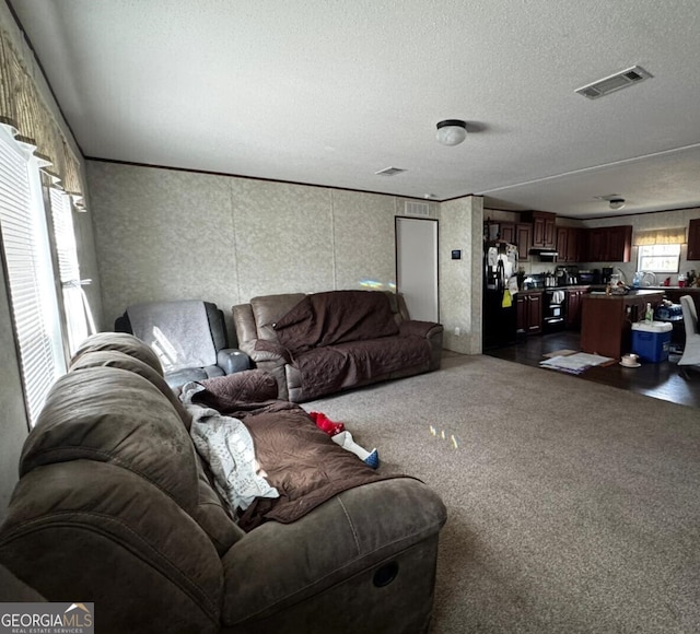 living room featuring a textured ceiling and dark colored carpet