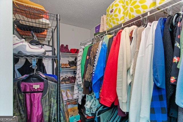 view of spacious closet