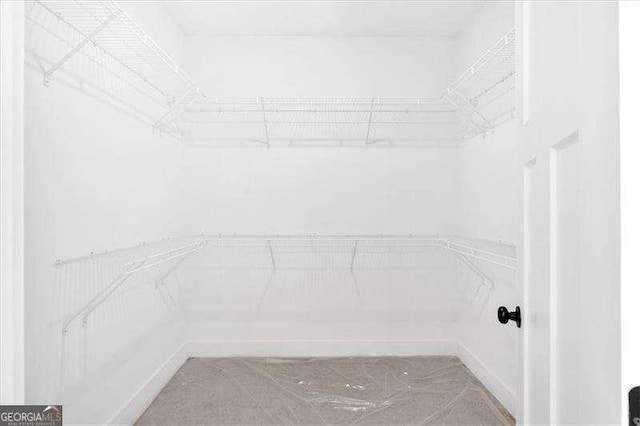 view of walk in closet