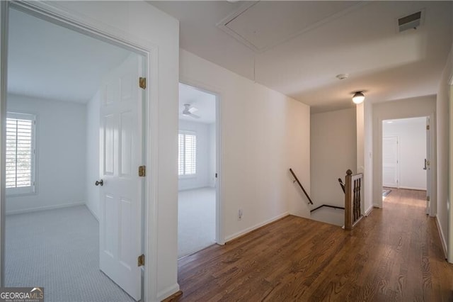 hallway with dark wood-type flooring