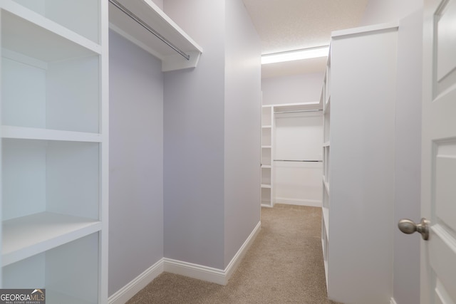 spacious closet featuring light colored carpet