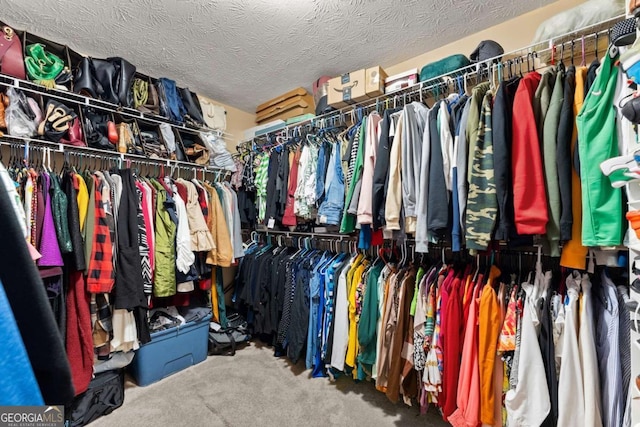 spacious closet with carpet floors