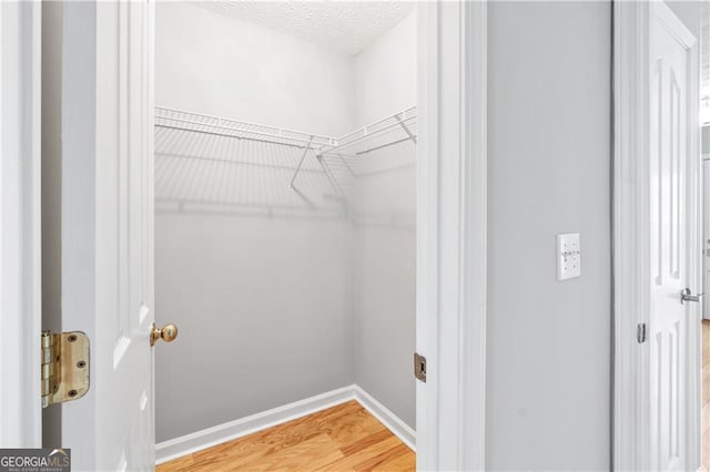 walk in closet with hardwood / wood-style flooring