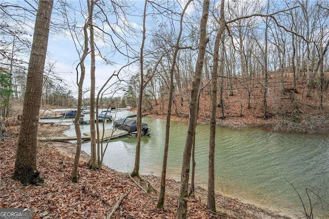 5990 Warpath Rd, Flowery Branch GA, 30542 land for sale