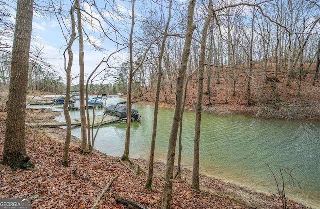 5990 Warpath Rd, Flowery Branch, GA 30542