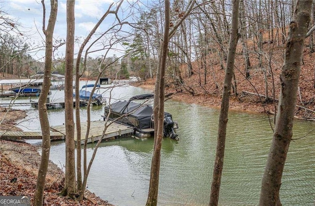 5990 Warpath Rd, Flowery Branch, GA 30542