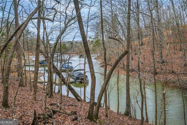 5990 Warpath Rd, Flowery Branch, GA 30542