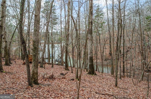 5990 Warpath Rd, Flowery Branch, GA 30542