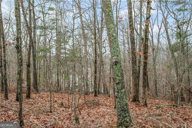 5990 Warpath Rd, Flowery Branch, GA 30542