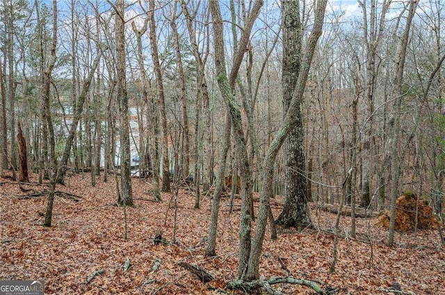 5990 Warpath Rd, Flowery Branch, GA 30542