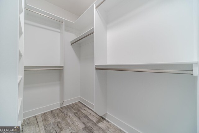 unfurnished bedroom featuring ornamental molding, a spacious closet, ceiling fan, light wood-type flooring, and a closet