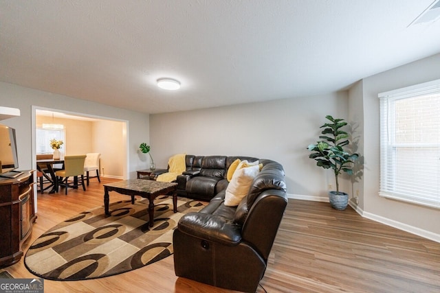 living room featuring wood-type flooring