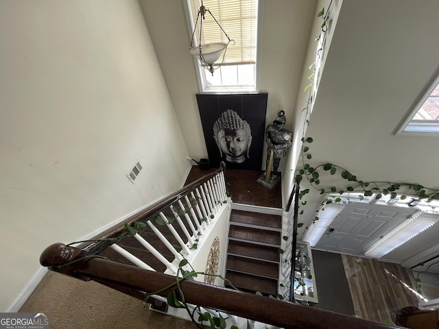 stairs featuring carpet floors