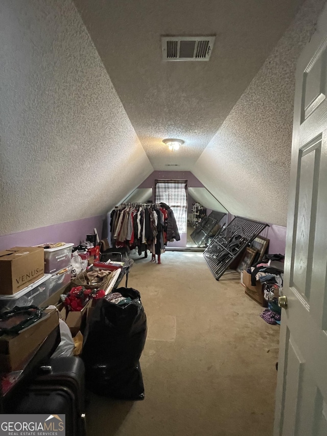 additional living space featuring lofted ceiling, carpet floors, and a textured ceiling