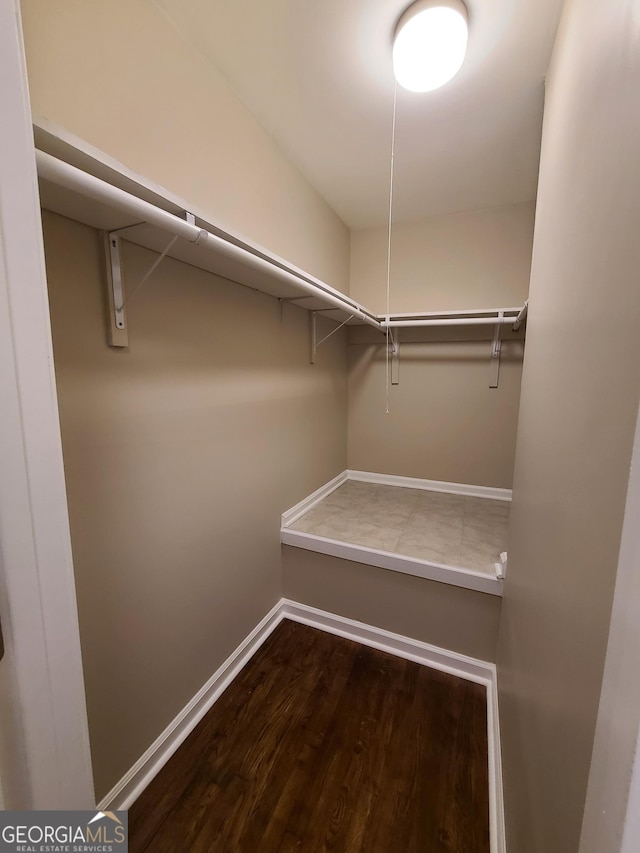 spacious closet with hardwood / wood-style floors