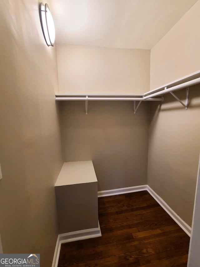 walk in closet featuring dark hardwood / wood-style floors