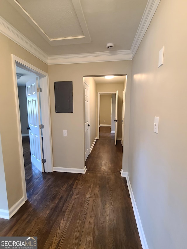 hall featuring crown molding, electric panel, and dark hardwood / wood-style floors