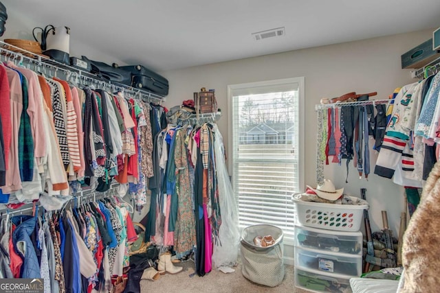 spacious closet featuring carpet