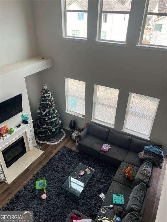 living room featuring wood-type flooring and a healthy amount of sunlight