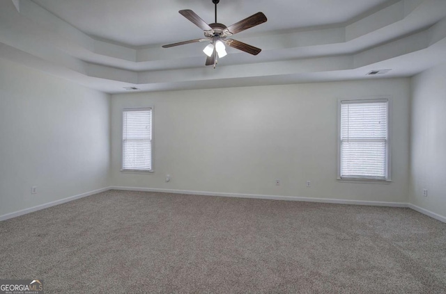 empty room with a wealth of natural light, a raised ceiling, and carpet