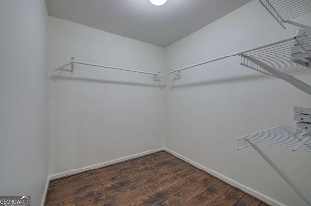 walk in closet featuring dark hardwood / wood-style flooring