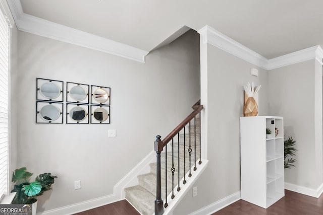 staircase with hardwood / wood-style flooring and crown molding