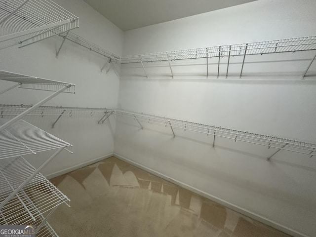 spacious closet featuring carpet floors