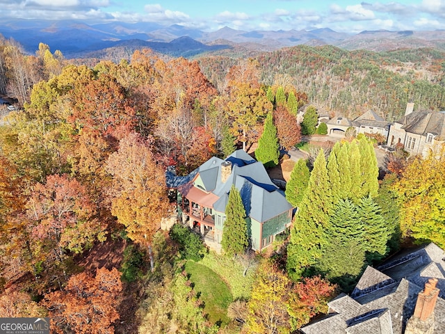 birds eye view of property featuring a mountain view