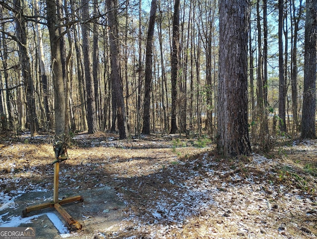 view of local wilderness