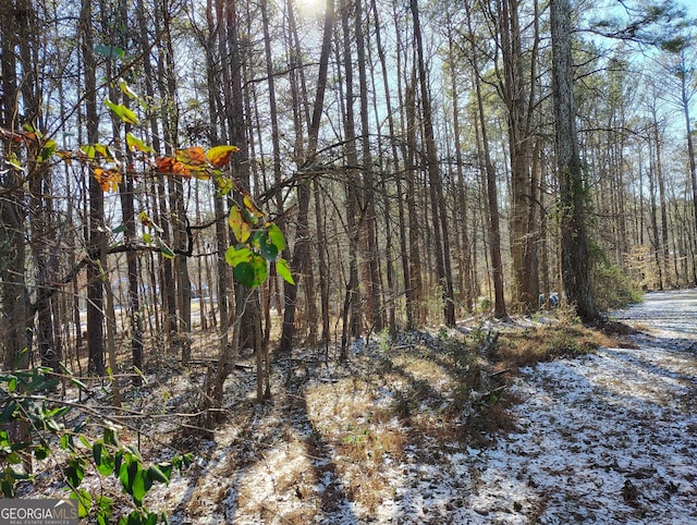 view of nature