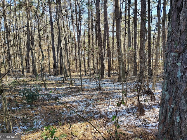 view of local wilderness