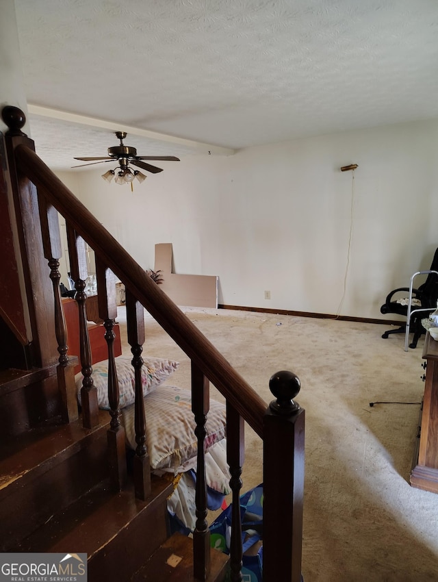 stairway with ceiling fan, carpet, and a textured ceiling