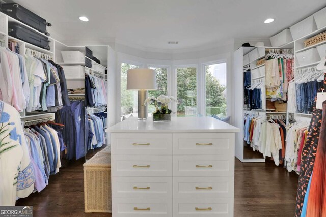 spacious closet with dark wood-type flooring