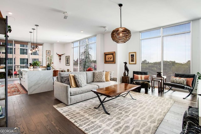 living room featuring expansive windows and wood-type flooring