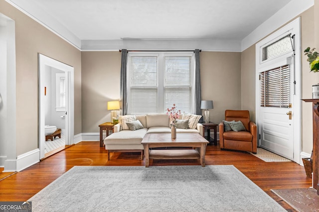 living room with wood-type flooring and a wealth of natural light