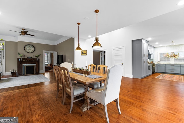 dining area with hardwood / wood-style flooring and ceiling fan