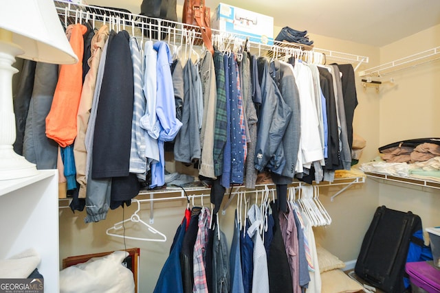 view of spacious closet